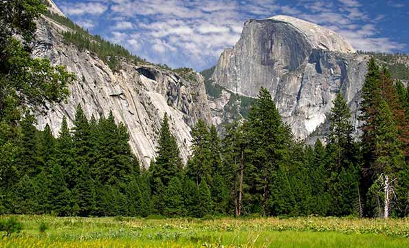 half-dome-nature