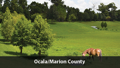 ocala