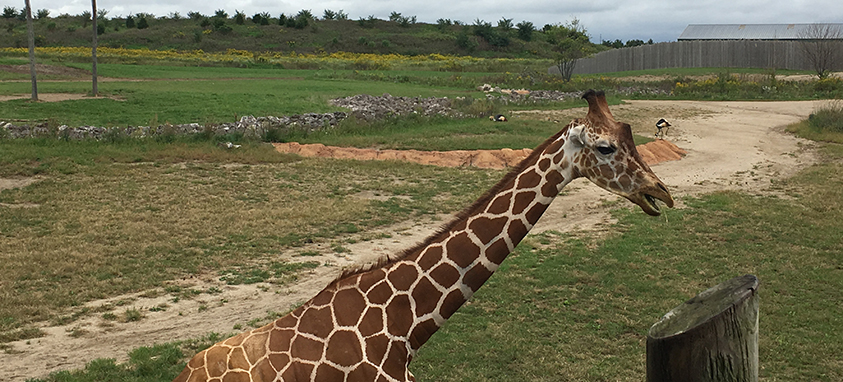 Columbus Zoo