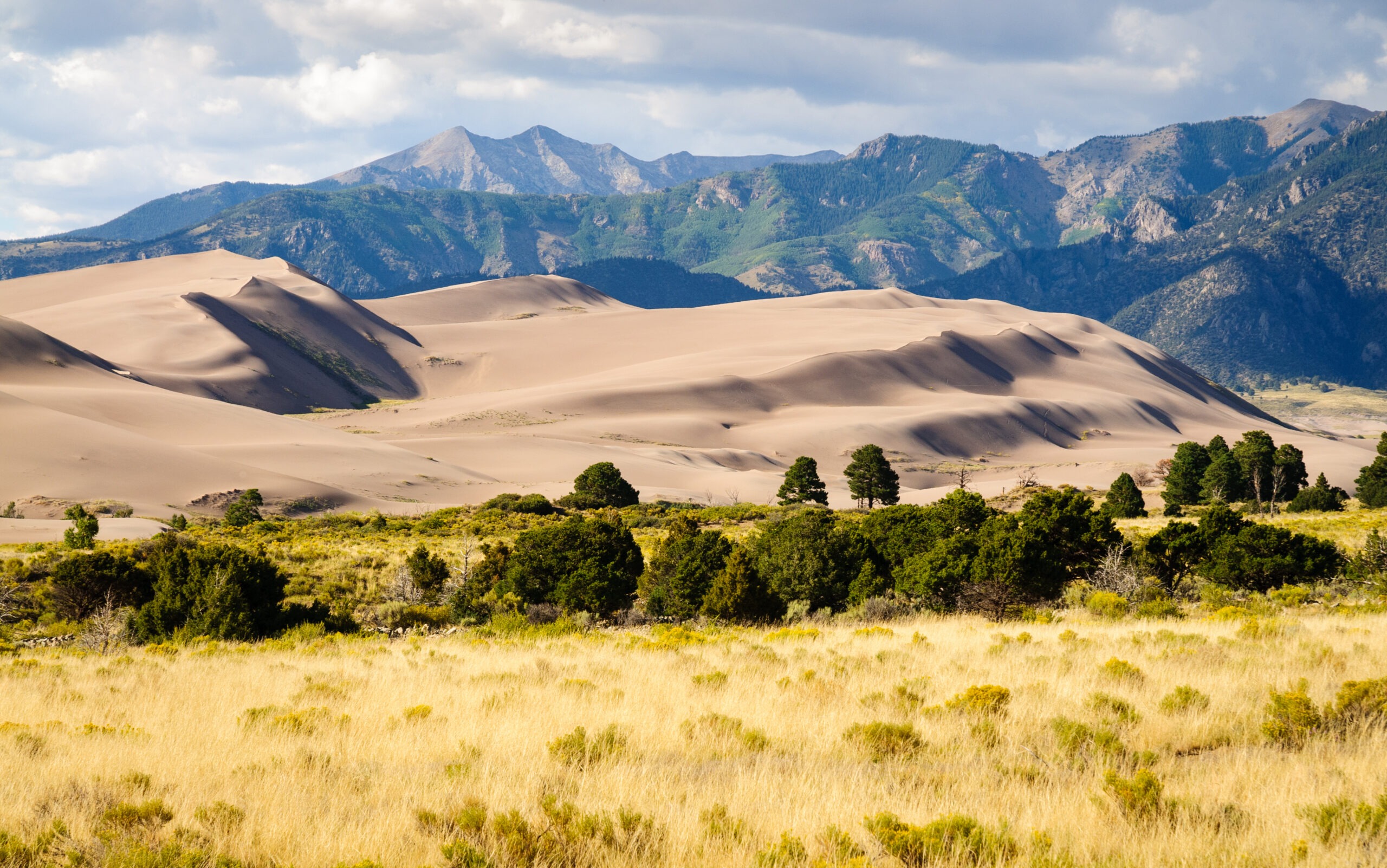 National Park, mountains in background