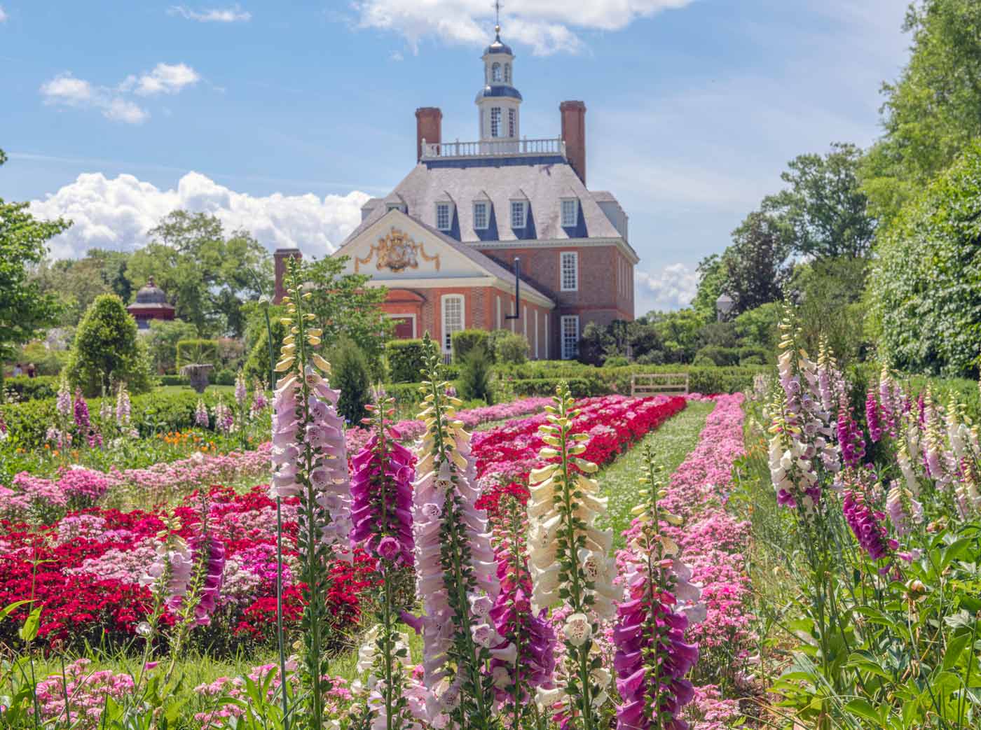 exterior of home behind pink flowers