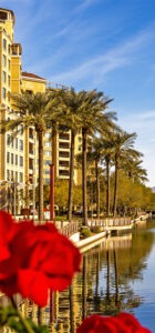 red roses in foreground and building and palm trees in background