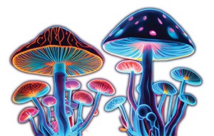 colorful mushrooms