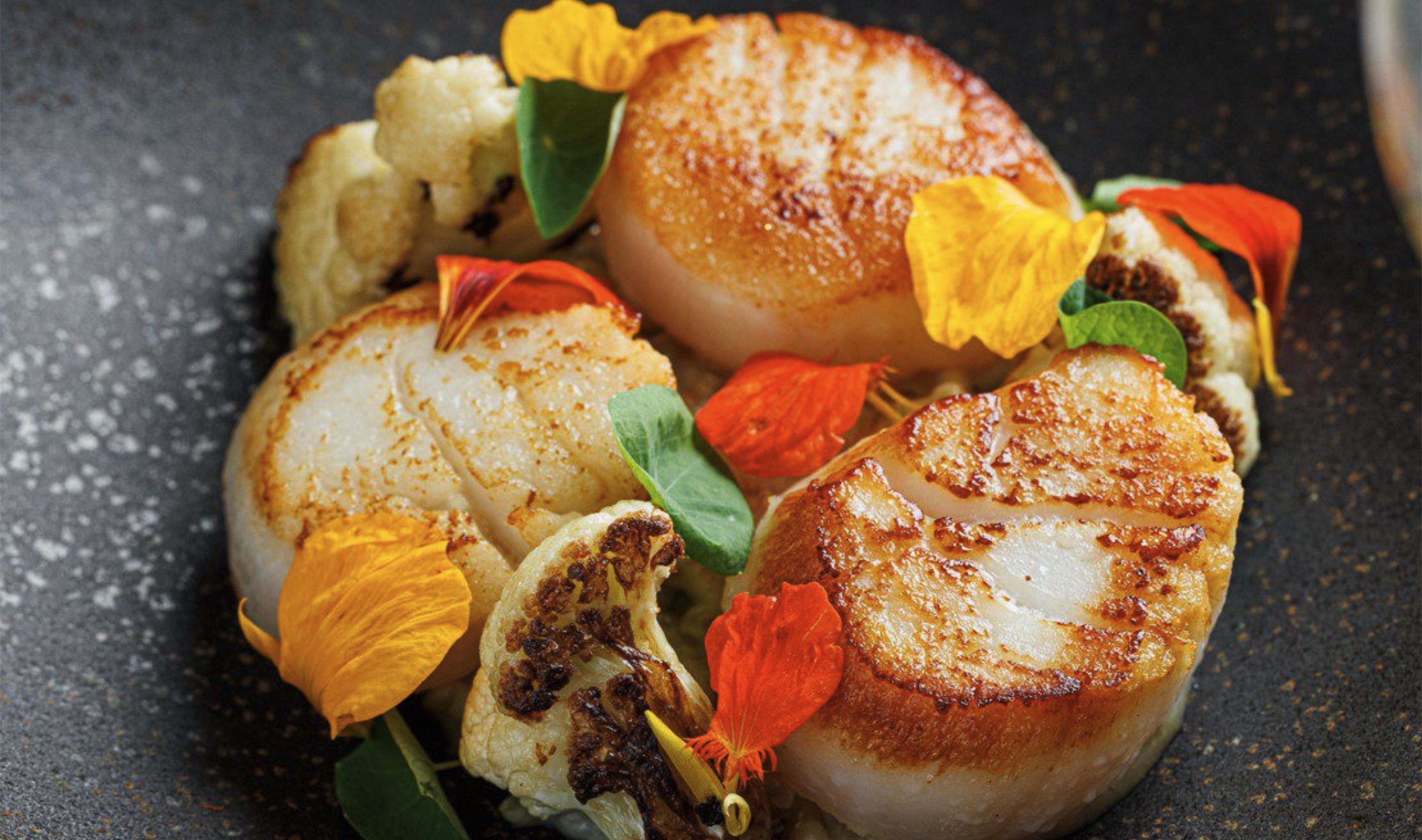 scallops