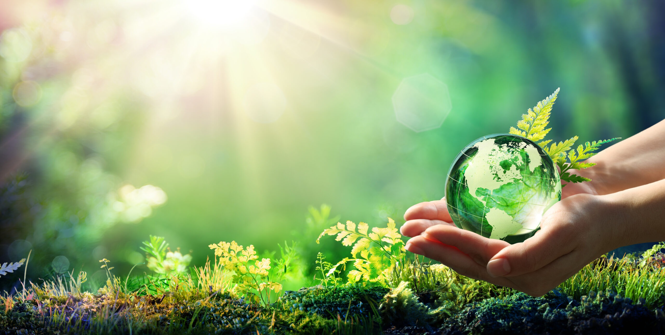 person holding small earth in hands