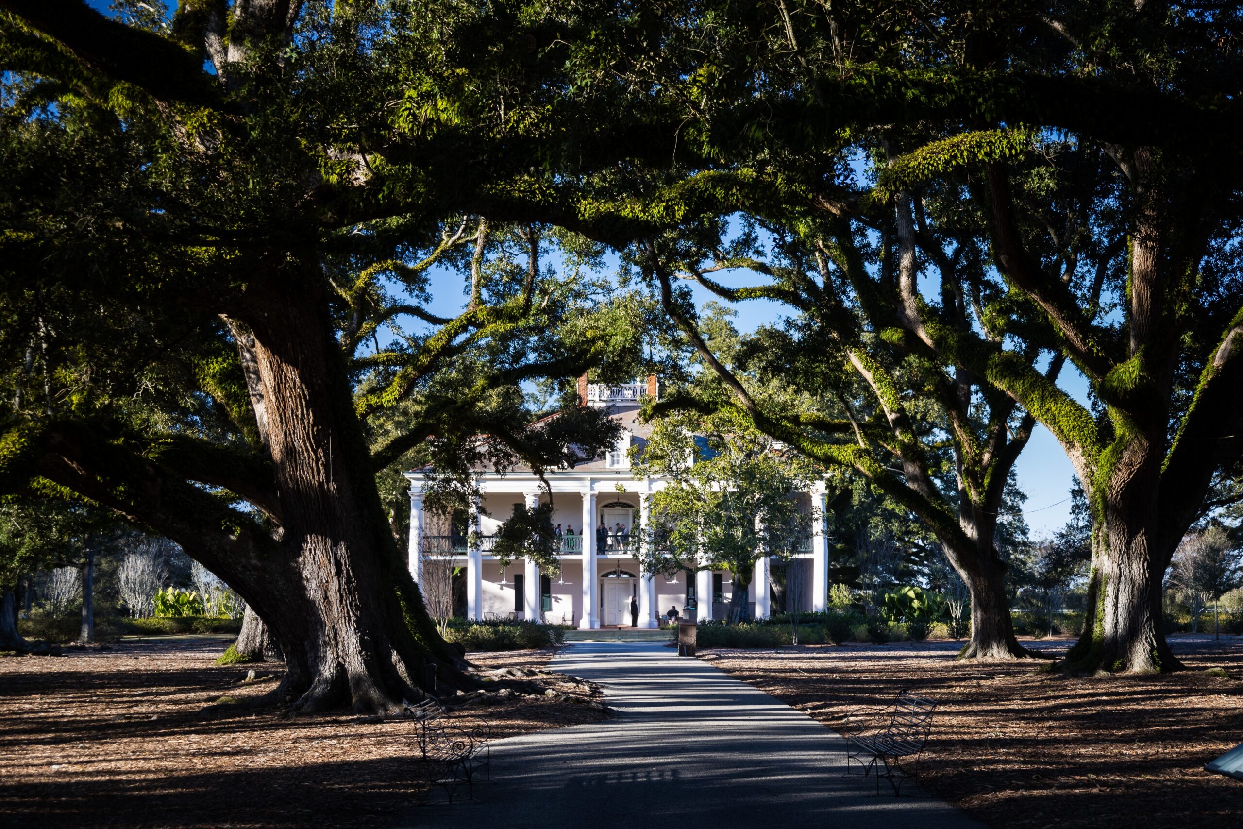 Oak Alley Plantation in Louisiana behind trees